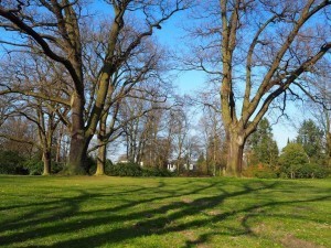 Viel frische Luft und Natur!